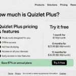 How Much is Quizlet Plus